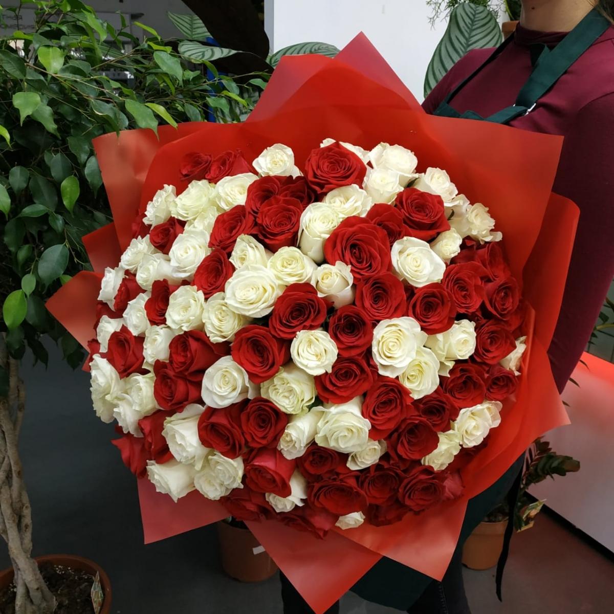 Букет из 101 розы (красные и белые розы) [код товара   146974]