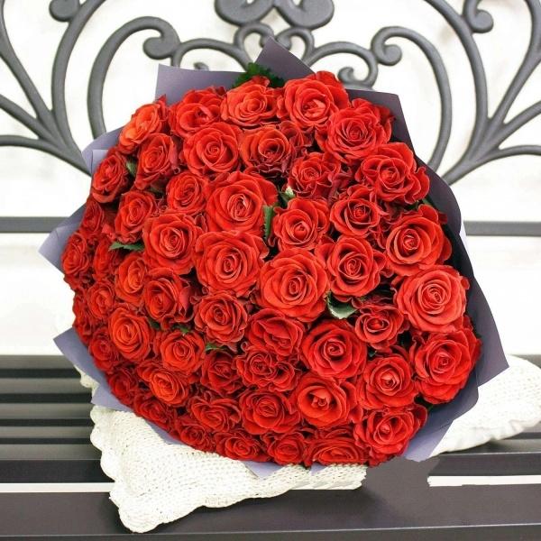 Красная роза Эквадор 51 шт код товара  256194