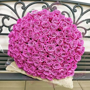 Букет Розовые розы Эквадор 101 шт (50 см) код  256624